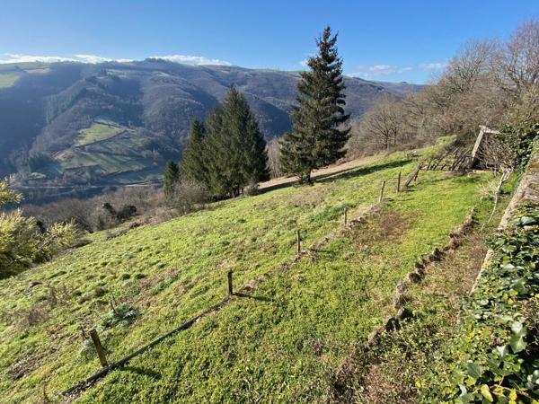 Maison avec vue dominante Vieillevie