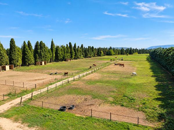 Domaine d'exception de 11hectares .Un futur resort équestre au coeur des Alpilles Saint andiol