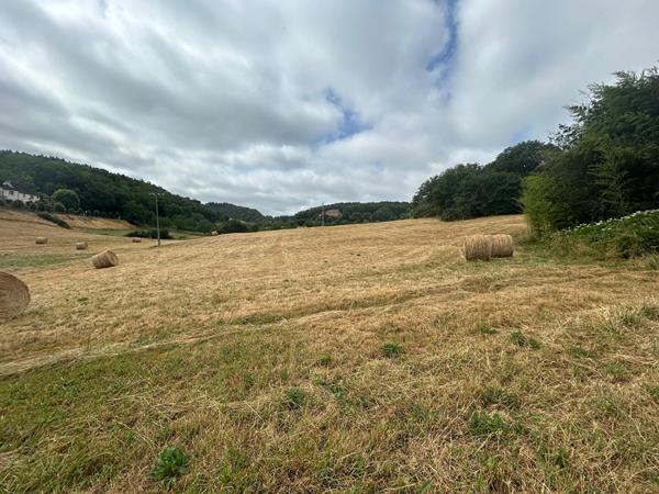 Propriété nature sans vis-à-vis ? 5,2 hectares à La Bachellerie La bachellerie