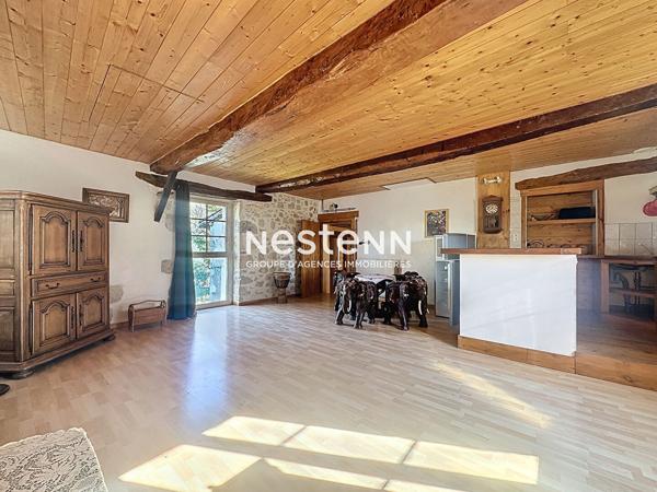 Maison en pierre Roquelaure à vendre 7 pièces jardin arboré et piscine