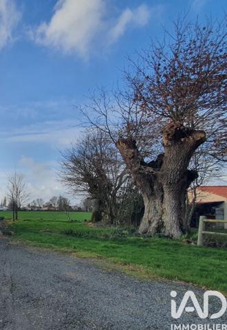 Maison à vendre 6 pièces 105 m² Essarts-en-Bocage