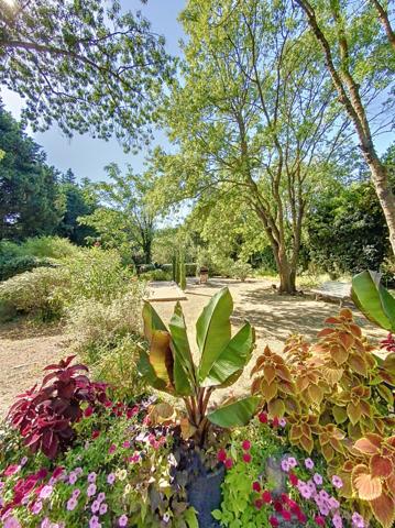 MAS de 155m² + gîte de 40 m² Saint Rémy de Provence