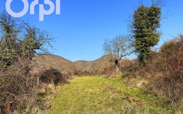 Terrain à vendre    Darbres