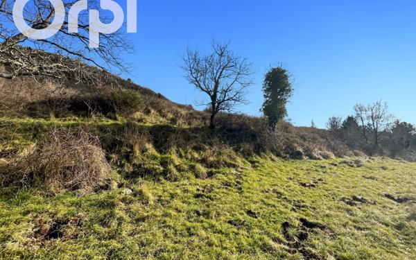 Terrain à vendre    Darbres