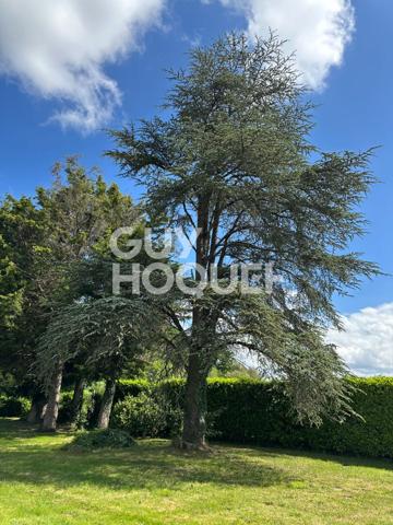 Demeure de prestige - Les Hauts d'Anjou 8 pièce(s) 230 m2