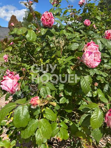 Demeure de prestige - Les Hauts d'Anjou 8 pièce(s) 230 m2