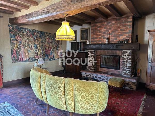 Demeure de prestige - Les Hauts d'Anjou 8 pièce(s) 230 m2