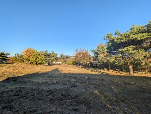 Terrain constructible 900 m² arboré avec vue – proche Montbrison