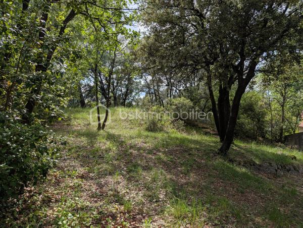 En exclusivité à Prades-le-Lez, découvrez cette villa d’environ 159 m², construite en 1965 et implantée sur un superbe terrain arboré et piscinable de 1 805 m².

Répartie sur 2 niveaux et orientée sud-ouest, elle offre un séjour lumineux ouvrant sur une terrasse, une cuisine indépendante, 5 chambres, une véranda, 2 salles de bains ainsi que 2 WC.

Elle nécessite un budget travaux important, mais présente un fort potentiel d’aménagement pour répondre à de nombreux projets.

Bénéficiant d’une belle exposition, d’un environnement verdoyant et d’une totale absence de vis-à-vis, le terrain (non divisible) constitue une opportunité rare sur le secteur. Son coefficient d’emprise au sol de 35 % offre également de belles perspectives de développement. 

Idéalement située, la villa se trouve à proximité immédiate du centre du village, des commerces et de toutes les commodités, tout en étant à seulement quelques minutes de Montpellier.

Pour plus d’informations ou pour organiser une visite, contactez-moi.