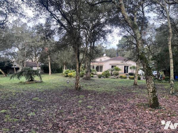 Traditionnelle cossue en bon etat