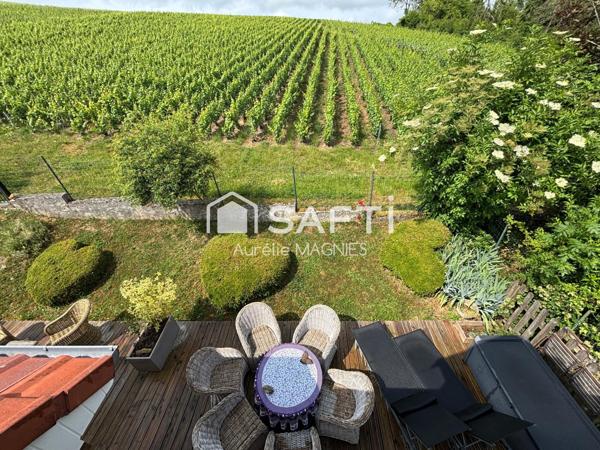 Superbe maison sur les côteaux avec piscine et jolie vue sur les vignes
