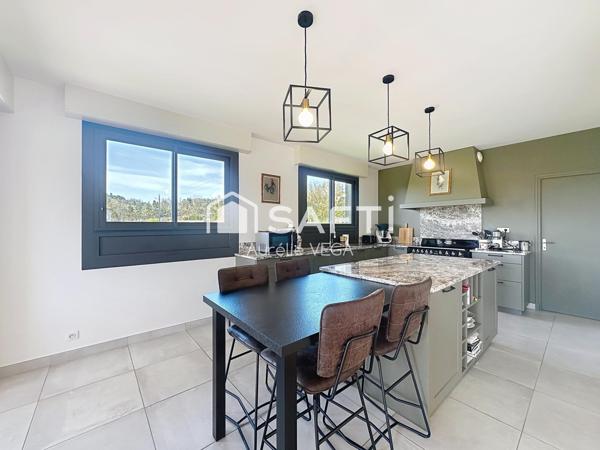 Villa vue Pyrénées 15 min à pied du centre de Mirepoix