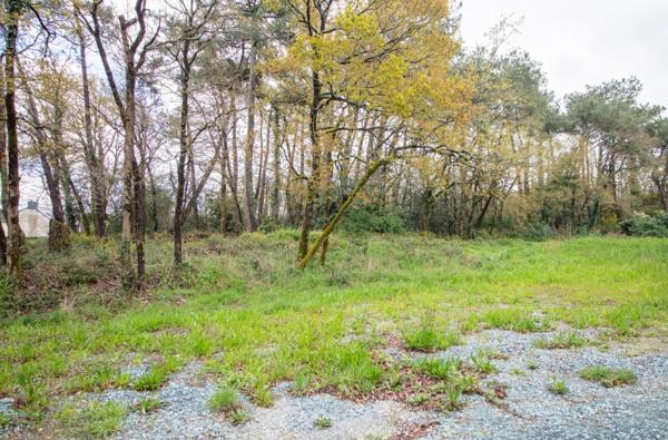 Terrain à batir 1280m2 Proche du Bourg