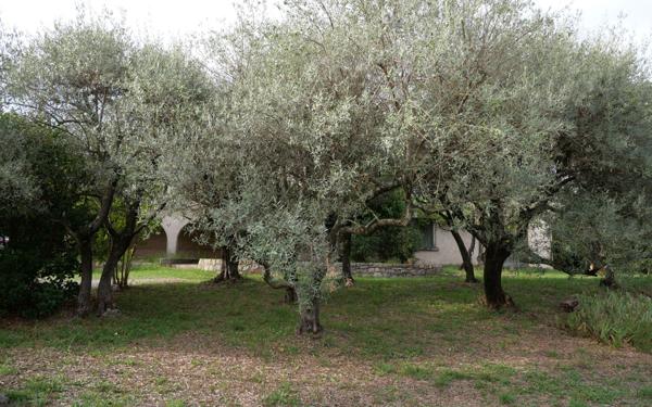 Maison à vendre    7 pièces •  Saint-Christol-lès-Alès