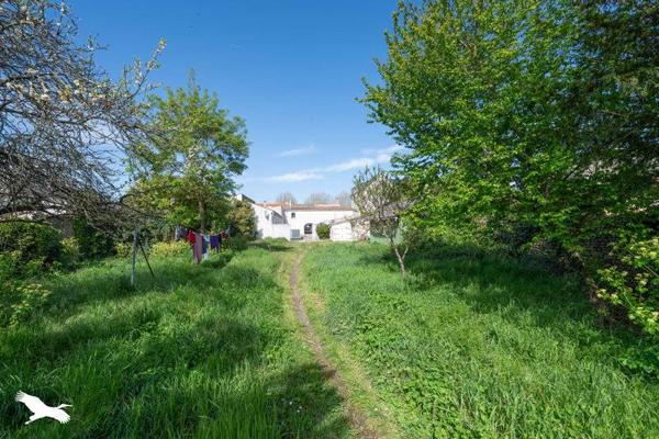 Immeuble à vendre |  Marennes |  231 m²