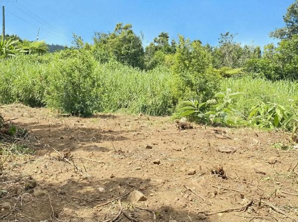 🌿 TERRAIN CONSTRUCTIBLE 1 427 m² – DIVISIBLE – ACCÈS DIRECT – 112,00 €/m2 – SAINT-JOSEPH