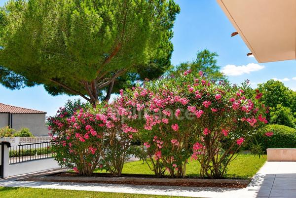 Villa méditerranéenne à vendre 7 pièces, 215 m² CANET EN ROUSSILLON (66) avec potentiel 2 logements, terrasses, jardin et garage