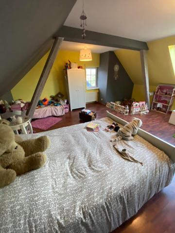 Artolsheim (67390) Maison 135 m² avec piscine