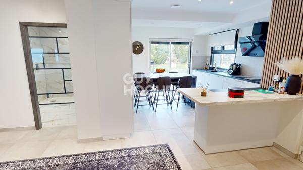 Magnifique maison contemporaine Wittenheim 9 pièces 237 m2 - Studio 50 m²