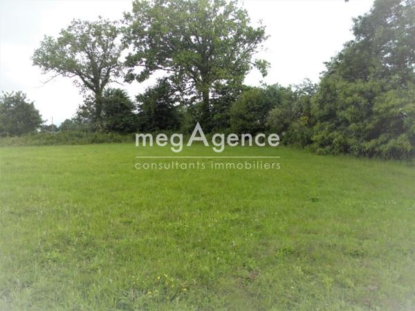 Terrain à SAINT-BERTHEVIN-LA-TANNIERE, 53220 - 2312m²