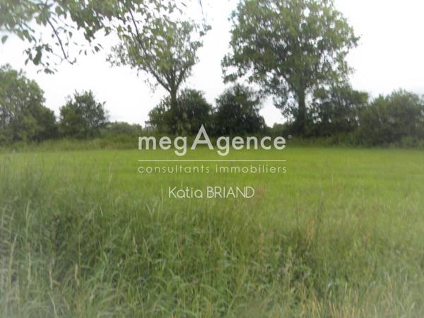 Terrain à SAINT-BERTHEVIN-LA-TANNIERE, 53220 - 2312m²