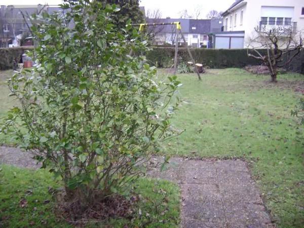 Location - Maison Pacé 35740 4 pièces 103 m 2 550 m 2