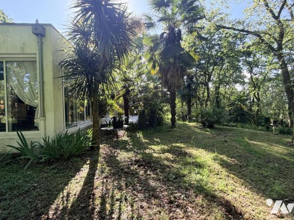 Maison familiale avec beau terrain arboré à Savenay - secteur lac