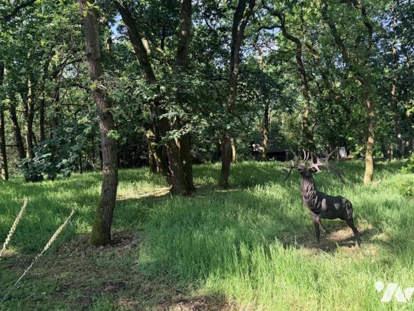 Maison familiale avec beau terrain arboré à Savenay - secteur lac