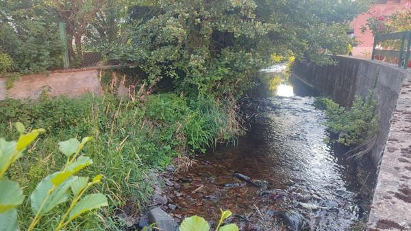 Maison 4 pièces d' environ 120 m2 à rénover à Wisches (67120)