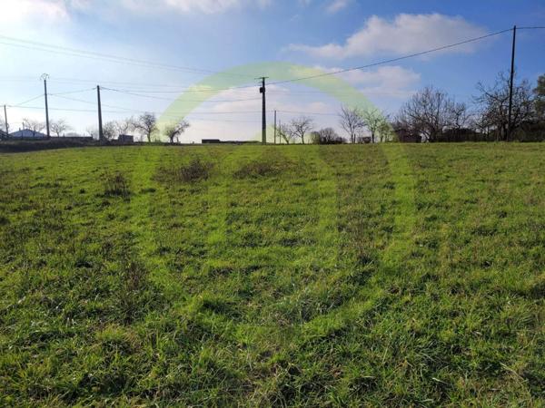 Terrain à SAINT BONNET SUR GIRONDE (17150)