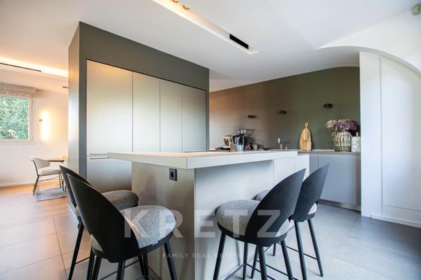 Triplex Rooftop Quai de Soane