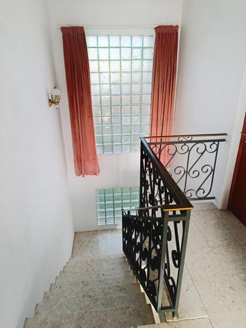 grande famille ou marchand de bien, tout à pieds