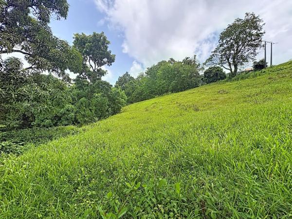 LE ROBERT : Ecrin de verdure de 2209 m² pour construire la maison de vos rêves
