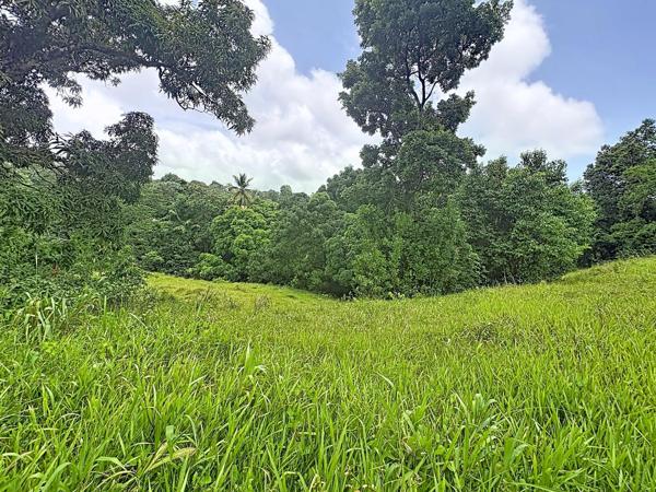 LE ROBERT : Ecrin de verdure de 2209 m² pour construire la maison de vos rêves