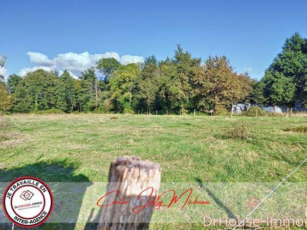 Terrain à vendre de 4 392 m²