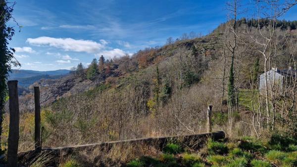 Maison avec dépendances sur terrain de 3,2 ha