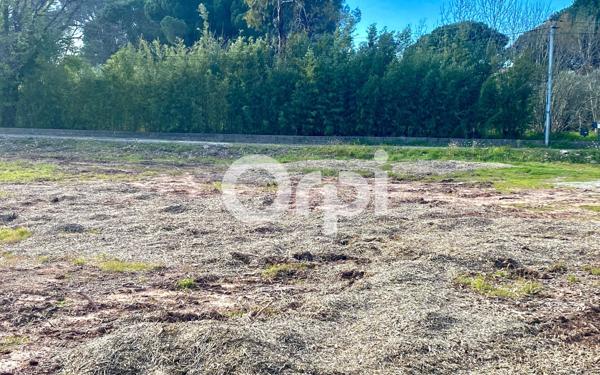 Maison à vendre    3 pièces •  Puget-sur-Argens