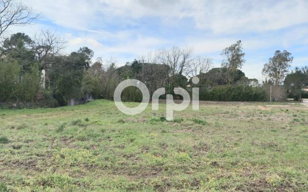 Maison à vendre    3 pièces •  Puget-sur-Argens