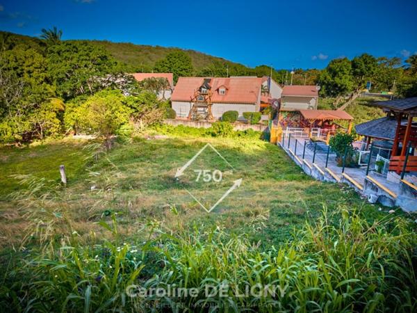 Terrain à vendre  DESHAIES (971)