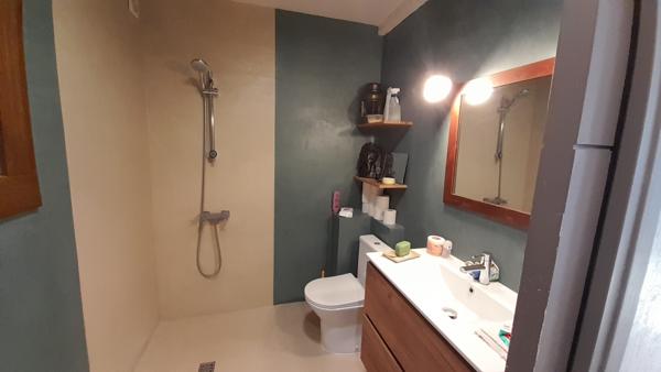 Châtillon-en-Diois (26410) 26410Châtillon-en-Diois/ Bel appartement lumineux entièrement rénové avec studio indépendant et grenier/ DPE C