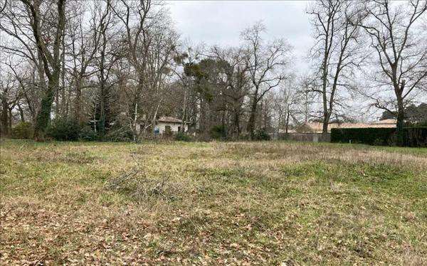 Terrain à vendre |  Léognan |  2183 m²