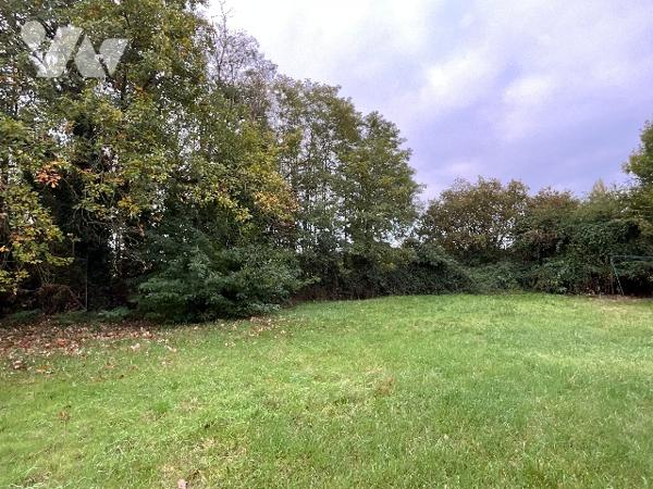 CELLETTES (41120) Maison de plain-pied 90 m² - jardin arboré