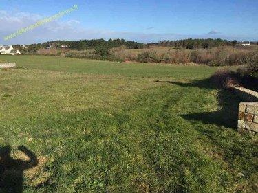 Terrain de loisirs - Bois - Etang à vendre à Esquibien dans le Finistère (29770), ref : 29021-TB00457