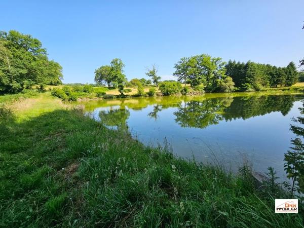 ETANG DE LOISIRS