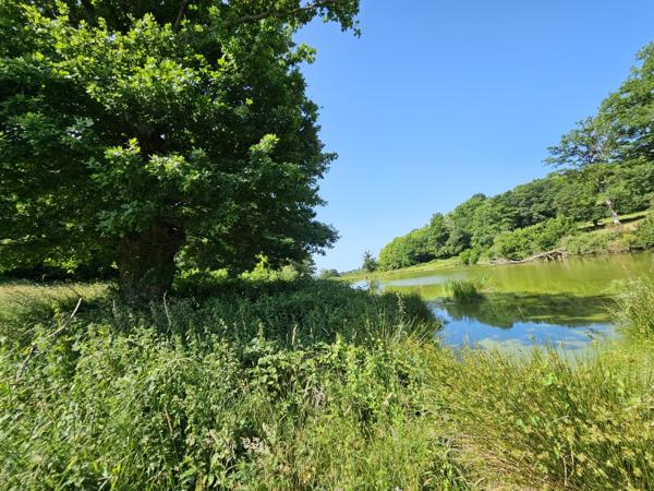 ETANG DE LOISIRS