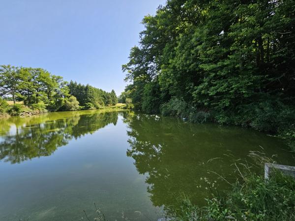 ETANG DE LOISIRS