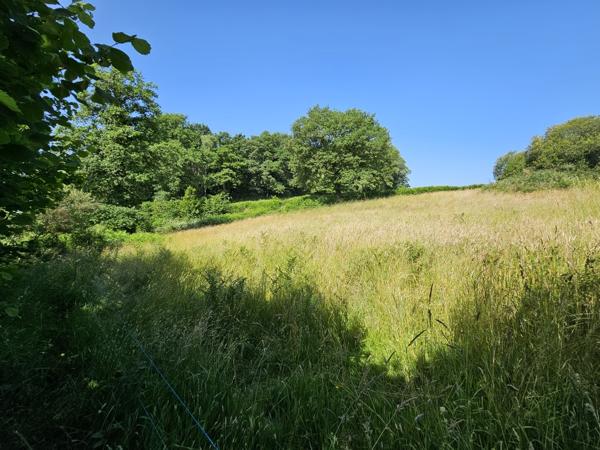 ETANG DE LOISIRS