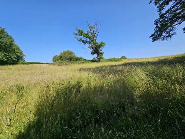 ETANG DE LOISIRS