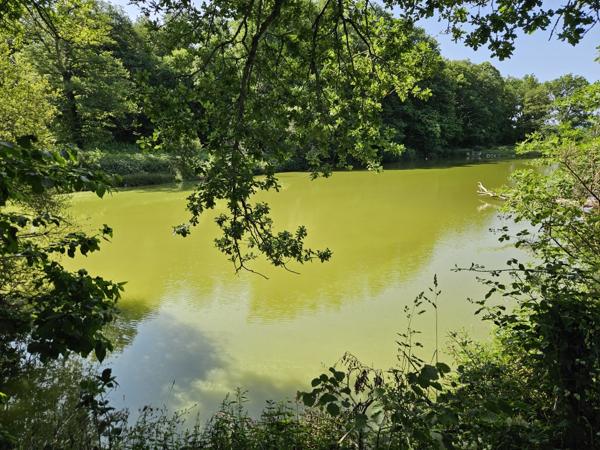 ETANG DE LOISIRS