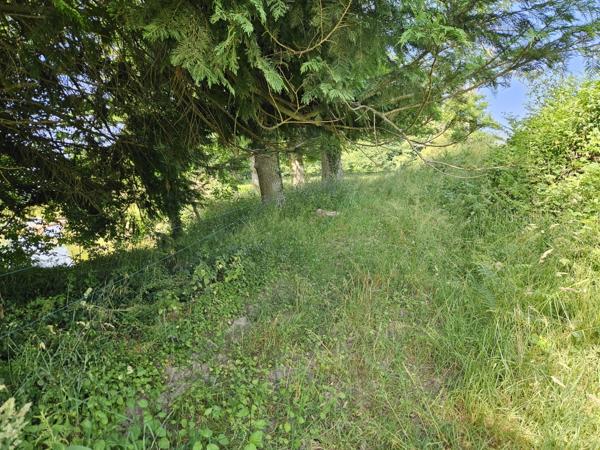 ETANG DE LOISIRS